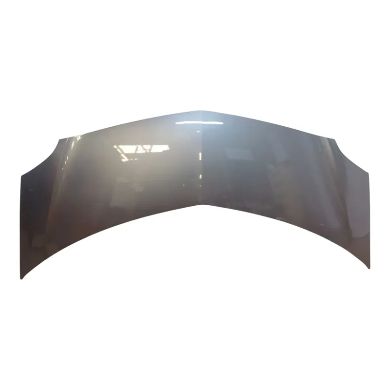 Derniers articles | Capot Renault MODUS 651001535R
